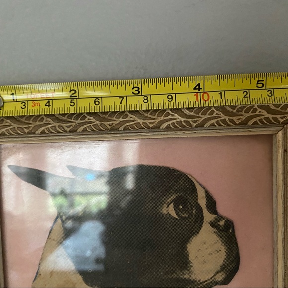Vintage Cast Iron Boston Terrier with Vintage framed Boston Terrier Print art - Picture 2 of 4